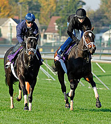 Pletcher's 2-Year-Old Fillies Breeze Pletcher's 2-Year-Old Fillies Breeze
