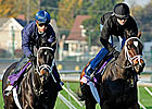 Pletcher's 2-Year-Old Fillies Breeze Pletcher's 2-Year-Old Fillies Breeze