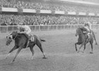 Slideshow: Champagne Stakes History Slideshow: Champagne Stakes History