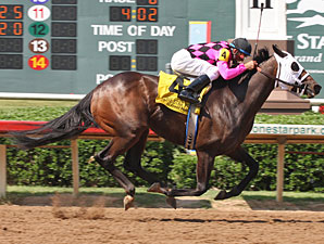 Storm Mesa Hoping For More in Iowa Oaks Storm Mesa Hoping For More in Iowa Oaks