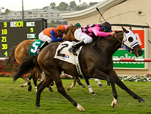 Storm Mesa Retired Storm Mesa Retired