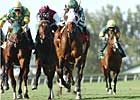 Keeneland Opens With Transylvania 