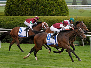 Transylvania: Stormalory Shows Turf Form Transylvania: Stormalory Shows Turf Form