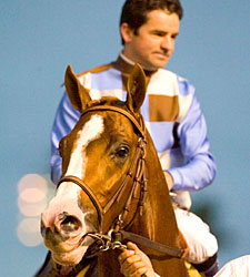 Kentucky Stallion Stormello Dies Kentucky Stallion Stormello Dies