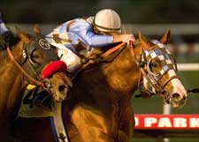 'New' Stormello Changes Style for Kentucky Derby 'New' Stormello Changes Style for Kentucky Derby