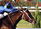 Six Stakes at Fair Grounds Jan. 12