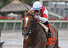 Storming Inti, Global View Top American Turf Storming Inti, Global View Top American Turf