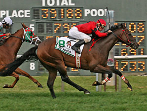 Stormofthecentury Strikes in Turf Monster Stormofthecentury Strikes in Turf Monster