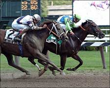 Stormy Kiss Lasts to Wire in Honorable Miss Stormy Kiss Lasts to Wire in Honorable Miss