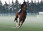 Stormy Lord Favored in President's Cup Return