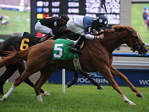 13 to Test Distance in Breeders' Stakes 13 to Test Distance in Breeders' Stakes