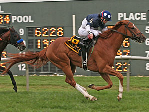 Stormy Lord Takes Command in President's Cup Stormy Lord Takes Command in President's Cup