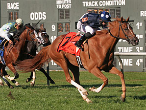 Stormy Lord Easily Repeats in President's Cup Stormy Lord Easily Repeats in President's Cup