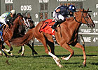Stormy Lord Easily Repeats in President's Cup Stormy Lord Easily Repeats in President's Cup