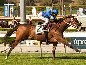 Stormy Lucy Ends Graded Drought in Santa Ana Stormy Lucy Ends Graded Drought in Santa Ana