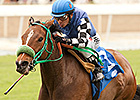 Stormy Lucy Tops Royal Heroine Field Stormy Lucy Tops Royal Heroine Field