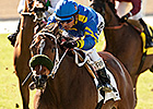 Santa Barbara Pits Stormy Lucy, Customer Base Santa Barbara Pits Stormy Lucy, Customer Base