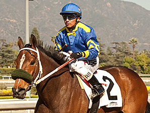 Santa Ana Winner Stormy Lucy Sold to Moger Santa Ana Winner Stormy Lucy Sold to Moger