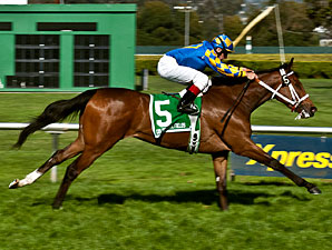 Washington Horse Owner Frank Gaunt Dies Washington Horse Owner Frank Gaunt Dies