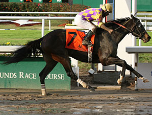 Endeavour Attracts Two Red-Hot Mares Endeavour Attracts Two Red-Hot Mares