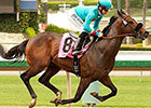 2-Year-Olds Featured in Santa Anita Stakes 2-Year-Olds Featured in Santa Anita Stakes