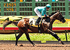 Story to Tell, La Grange Win Juvenile Stakes Story to Tell, La Grange Win Juvenile Stakes