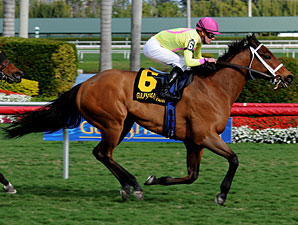 Stradivinsky Captures Gulfstream Turf Sprint Stradivinsky Captures Gulfstream Turf Sprint