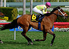 Stradivinsky Captures Gulfstream Turf Sprint Stradivinsky Captures Gulfstream Turf Sprint