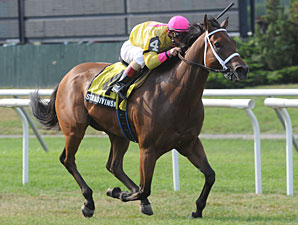 Stradivinsky Wins Jaipur After Being Claimed