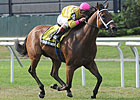 Stradivinsky Wins Jaipur After Being Claimed