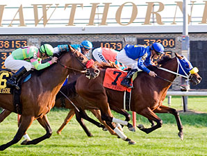'Mewsina Claws to Hawthorne Derby Upset 'Mewsina Claws to Hawthorne Derby Upset