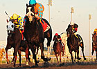 Straight Story in Big Upset in Autumn Stakes Straight Story in Big Upset in Autumn Stakes