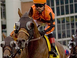 Strait of Dover Injured; No Breeders' Stakes Strait of Dover Injured; No Breeders' Stakes