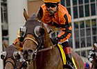 Strait of Dover Injured; No Breeders' Stakes Strait of Dover Injured; No Breeders' Stakes