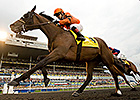 Champion Strait of Dover Dies After Surgery Champion Strait of Dover Dies After Surgery