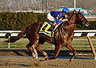 Strapping Groom Returns to Graded Ranks Strapping Groom Returns to Graded Ranks