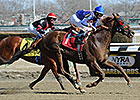 Strapping Groom Grinds Out Tom Fool Win Strapping Groom Grinds Out Tom Fool Win