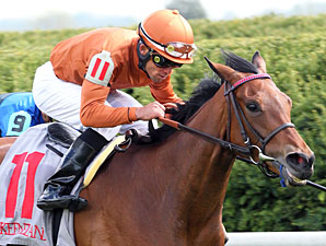Streaking Rosario, Strathnaver Take Bewitch Streaking Rosario, Strathnaver Take Bewitch