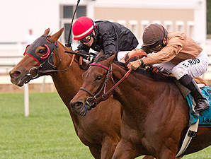 Anjaz After Breakthrough Win in Long Island Anjaz After Breakthrough Win in Long Island