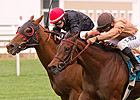 Anjaz After Breakthrough Win in Long Island Anjaz After Breakthrough Win in Long Island