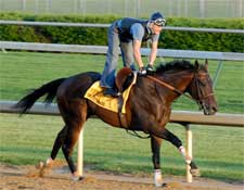 Street Sense Favored in Early Derby Wagering Street Sense Favored in Early Derby Wagering