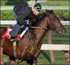 Street Sense Primed for Travers Street Sense Primed for Travers