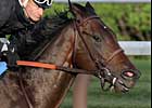 Street Sense Primed for Travers