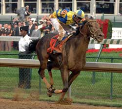 It All Makes Sense in Kentucky Derby It All Makes Sense in Kentucky Derby