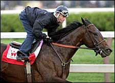 Street Sense Works Five Furlongs in :59.63 at Saratoga Street Sense Works Five Furlongs in :59.63 at Saratoga