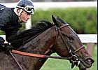 Street Sense Works Five Furlongs in :59.63 at Saratoga