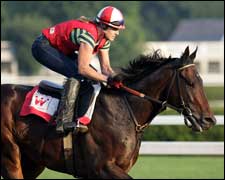Street Sense Returns to Action in Jim Dandy Street Sense Returns to Action in Jim Dandy
