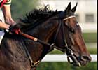 Street Sense Returns to Action in Jim Dandy