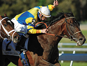 Tampa Bay Derby Was Perfect for Street Sense Tampa Bay Derby Was Perfect for Street Sense