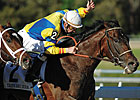 Tampa Bay Derby Was Perfect for Street Sense Tampa Bay Derby Was Perfect for Street Sense